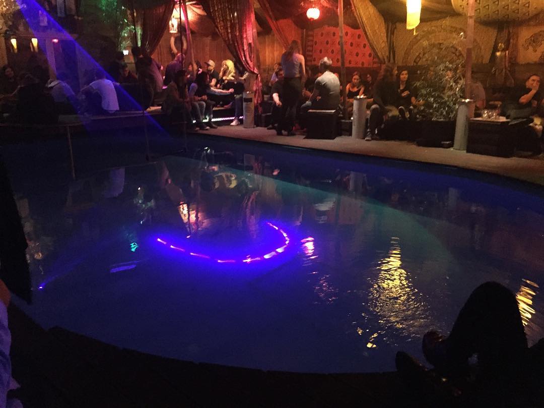 Never been to a club with a pool in it before, this place...